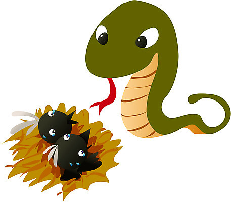 EPS 클립아트 동물 척추동물 한국문화 한국전통 새끼 일러스트 파충류 조류 동화 전래동화 세마리 이야기 사람없음 뱀 둥지 울음 먹이 무서움 위협 눈물 까치 독사 은혜갚은까치 국내일러스트 동양문화 전통 감정 한국 표정 3 파일형식 벡터