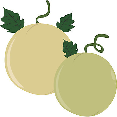 EPS 식물 한국문화 한국전통 열매 일러스트 동화 전래동화 이야기 사람없음 두개 박 흥부와놀부 흥부놀부 국내일러스트 동양문화 전통 2 한국 파일형식 벡터