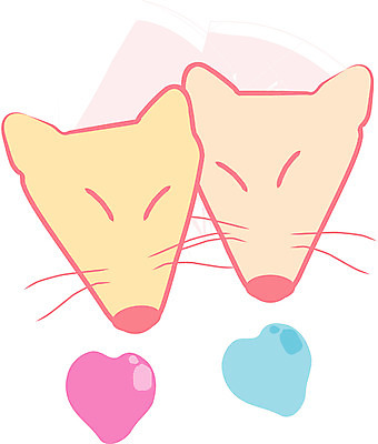 EPS 클립아트 동물 척추동물 캐릭터 육지동물 커플 감정 한쌍 동물캐릭터 두마리 일러스트 포유류 사랑 사람없음 머리 하트 여우캐릭터 일러캐릭터 모양 2 관계 신체부위 여우 파일형식 벡터