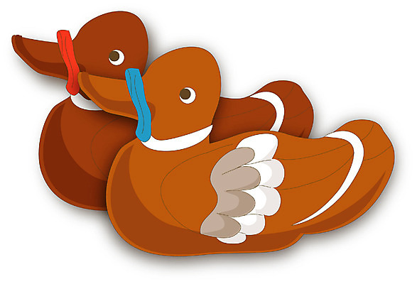 EPS 클립아트 동물 척추동물 한국문화 한국전통 상징 결혼 두마리 일러스트 조류 사람없음 장식 원앙 전통의례 신혼 기러기 목기러기 국내일러스트 동양문화 전통 2 한국 이벤트 파일형식 벡터