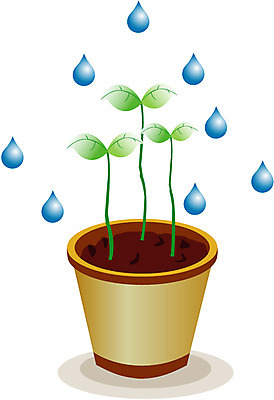 EPS 클립아트 식물 사계절 계절 화분 잎 일러스트 사람없음 새싹 봄 물방울 봄비 비 국내일러스트 자연요소 날씨 비_날씨 파일형식 벡터