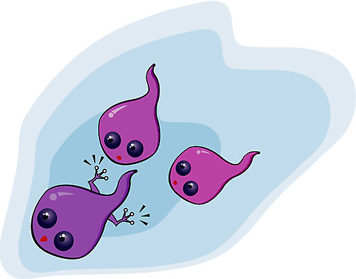 EPS 클립아트 동물 척추동물 일러스트 세마리 개구리 양서류 사람없음 연못 올챙이 국내일러스트 3 파일형식 벡터