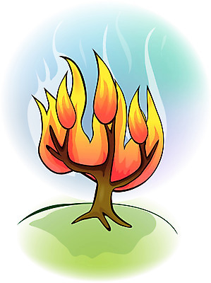 EPS 클립아트 나무 기독교 종교 일러스트 불 사람없음 교회 화재 가시나무 성령 국내일러스트 자연요소 식물 종교건축 건물 사건 파일형식 벡터