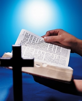 포토 JPG 손 기독교 종교 백그라운드 십자가 종교용품 기독교용품 신체부위 성경 천주교 국내포토 사람 파일형식