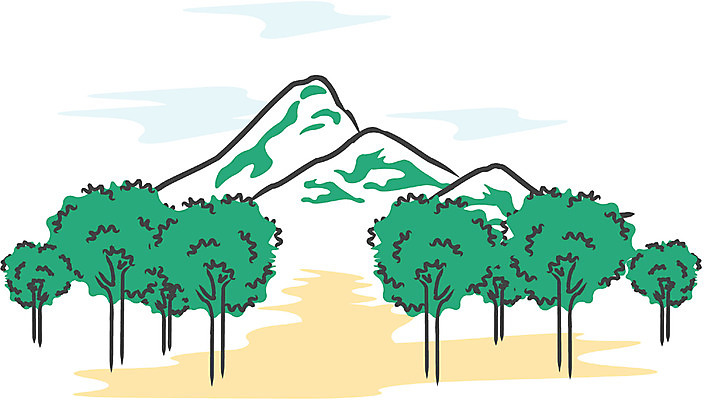 EPS 클립아트 나무 식물 길 일러스트 자연 산 여러그루 풍경 사람없음 야외 숲 오솔길 숲길 울창 국내일러스트 다수 생태계 파일형식 벡터