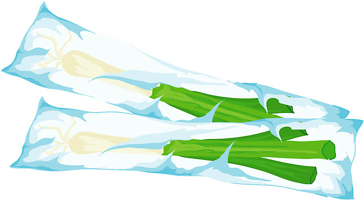 EPS 식물 음식 채소 일러스트 식재료 포장 비닐봉투 사람없음 농작물 두개 파 비닐 대파 비닐포장 국내일러스트 2 농업 재질 봉투 파일형식 벡터