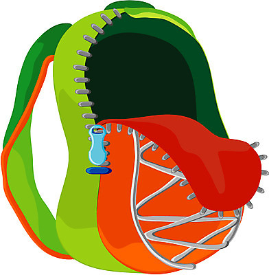EPS 잡화 가방 일러스트 배낭 책가방 사람없음 한개 오픈 등산용품 백팩 국내일러스트 1 레포츠용품 파일형식 벡터