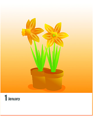EPS 클립아트 식물 문자 알파벳 영어 꽃 화분 화초 일러스트 사람없음 숫자 노란색 달력 1월 복수초 국내일러스트 컬러 날짜 파일형식 벡터