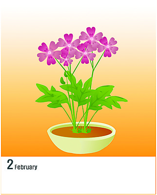 EPS 클립아트 식물 문자 알파벳 영어 꽃 화분 화초 일러스트 봄꽃 사람없음 숫자 달력 자주색 2월 앵초 국내일러스트 컬러 봄 날짜 파일형식 벡터