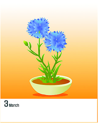 EPS 클립아트 식물 문자 알파벳 영어 꽃 화분 화초 일러스트 국화 사람없음 파란색 숫자 달력 3월 수레국화 국내일러스트 컬러 날짜 파일형식 벡터