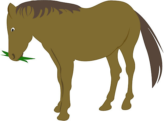 EPS 동물 척추동물 한마리 육지동물 컬러 일러스트 포유류 사람없음 가축 말_동물 건초 모이 먹기 카키색 국내일러스트 1 모션 먹이 파일형식 벡터