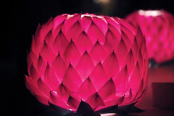 포토 JPG 종교 백그라운드 불교 종교용품 근접촬영 사람없음 야외 두개 부처님오신날 야간 불교용품 연등 진홍색 연등행사 국내포토 자연요소 기념일 뷰포인트 2 이벤트 빨간색 등불 파일형식