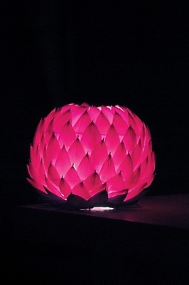 포토 JPG 종교 불교 종교용품 근접촬영 사람없음 야외 한개 부처님오신날 야간 불교용품 연등 진홍색 연등행사 국내포토 자연요소 1 기념일 뷰포인트 이벤트 빨간색 등불 파일형식