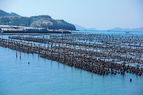 포토 JPG 주간 산업 바다 백그라운드 자연 하늘 산 어업 풍경 사람없음 야외 어촌 양식장 국내포토 자연요소 시골 시설 생태계 파일형식