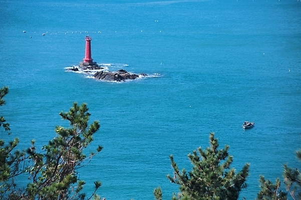 포토 JPG 주간 나무 식물 시설물 현대건축 건축 바다 배경화면 백그라운드 자연 등대 풍경 사람없음 야외 하이앵글 항공촬영 국내포토 자연요소 건축물 뷰포인트 생태계 파일형식