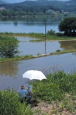 포토 JPG 주간 직업 잡화 남자 호수 농업 우산 자연 휴식 산 논 한명 사람 풍경 초원 20대 성인 야외 강 풀 그림 화가 남자만 남자한명만 성인남자만 청년만 청년남자만 청년남자한명만 성인한명만 성인남자한명만 성인만 국내포토 자연요소 식물 1 산업 컨셉 청년 생태계 파일형식