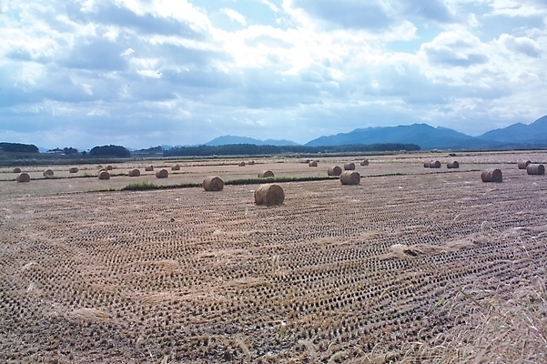 포토 JPG 주간 구름 사계절 계절 백그라운드 농업 자연 하늘 산 논 풍경 사람없음 야외 추수 벼 가을 농촌 볏단 국내포토 자연요소 산업 곡류 시골 생태계 파일형식