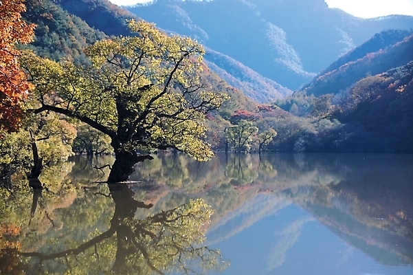 포토 JPG 주간 나무 식물 사계절 계절 호수 배경화면 백그라운드 자연 산 풍경 사람없음 야외 강 반사 가을 수면 숲 국내포토 자연요소 물 생태계 파일형식