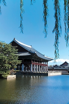 포토 JPG 주간 식물 한국문화 한국전통 건축물 공원 건축 호수 백그라운드 고건축 한국건축 자연 한국 풍경 사람없음 야외 정원 동양건축 궁전 문화재 연못 도시 수양버들 경복궁 국내포토 자연요소 동양문화 전통 공공시설 아시아 버드나무 생태계 파일형식 동양