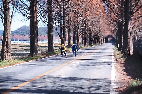 포토 JPG 주간 나무 시설물 현대건축 건축 도로 길 백그라운드 밭 산 논 여러그루 사람 풍경 야외 레포츠 스케이트 롤러블레이드 가로수 비닐하우스 곧은길 국내포토 자연요소 식물 건축물 스포츠용품 다수 농업 교통시설 레저 취미 파일형식