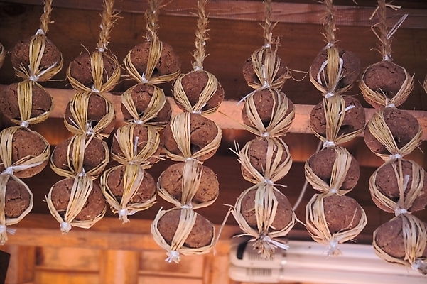 포토 JPG 주간 음식 로우앵글 식재료 한옥 콩 풍경 근접촬영 사람없음 야외 여러개 가을 농촌 양념 장 메주 국내포토 자연요소 한국전통 계절 뷰포인트 다수 고건축 곡류 시골 파일형식