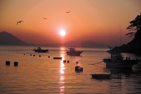 포토 JPG 주간 산업 바다 배경화면 백그라운드 교통 수상교통 자연 하늘 어업 풍경 해변 사람없음 야외 태양 일출 일몰 어선 선박 국내포토 자연요소 교통수단 배_교통 노을 생태계 파일형식
