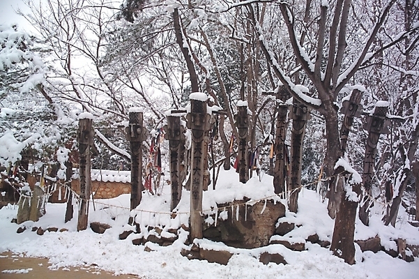 포토 JPG 주간 나무 식물 계절 종교 배경화면 백그라운드 설경 겨울 종교용품 자연 산 풍경 사람없음 야외 눈 무속 무속신앙용품 장승 국내포토 자연요소 날씨 생태계 파일형식