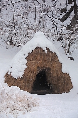 포토 JPG 주간 나무 식물 시설물 사계절 계절 건축 고건축 겨울 한국건축 자연 한국 풍경 사람없음 야외 눈 볏짚 창고 저장고 곡식저장고 움집 국내포토 자연요소 건축물 아시아 날씨 짚 생태계 저장소 파일형식
