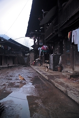 포토 JPG 주간 시설물 건축 외국문화 고건축 중국문화 풍경 야외 동양건축 가축 농촌 시골 닭 시골집 중국건축 앞마당 국내포토 자연요소 동물 동양문화 건축물 문화 조류 주택 중국 파일형식 동양