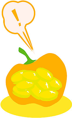 EPS 산업 컬러 말풍선 돈 채소 일러스트 호박 사람없음 금융 노란색 동전 저축 절약 느낌표 오브젝트 국내일러스트 기호 컨셉 경제 재산 파일형식 벡터