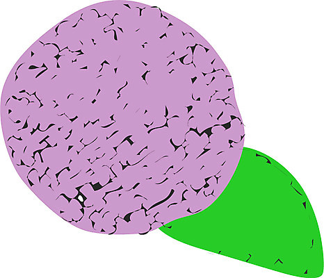 EPS 식물 꽃 컬러 일러스트 사람없음 초록색 보라색 국내일러스트 파일형식 벡터