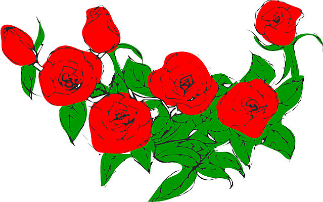 EPS 식물 꽃 컬러 일러스트 사람없음 빨간색 초록색 장미 국내일러스트 파일형식 벡터