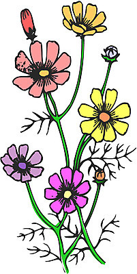 EPS 식물 꽃 일러스트 자연 가을꽃 사람없음 컬러풀 코스모스 국내일러스트 컬러 생태계 파일형식 벡터 가을_계절