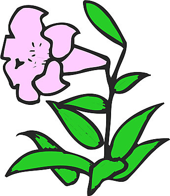 EPS 식물 꽃 분홍색 컬러 한송이 일러스트 사람없음 초록색 국내일러스트 1 송이 파일형식 벡터