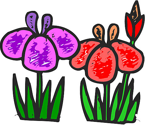 EPS 식물 꽃 일러스트 사람없음 컬러풀 세송이 국내일러스트 컬러 3 파일형식 벡터