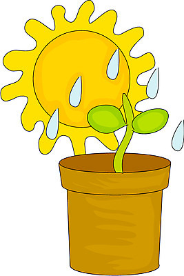EPS 식물 화분 화초 일러스트 자연 날씨 사람없음 햇빛 태양 새싹 맑음 물방울 물주기 원예 국내일러스트 자연요소 모션 취미 생태계 파일형식 벡터