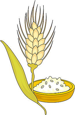 EPS 식물 그릇 음식 일러스트 식재료 밥 곡류 사람없음 농작물 벼 쌀 보리 보리밥 한그릇 국내일러스트 1 식기 농업 파일형식 벡터