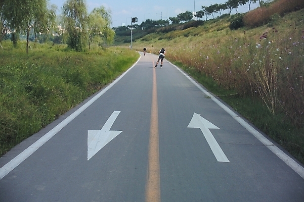 포토 JPG 주간 나무 현대건축 건축 화살표 도로 길 스포츠 레저 사람 풍경 야외 두명 레포츠 운동 스케이트 롤러블레이드 중앙선 국내포토 자연요소 식물 스포츠용품 교통시설 건강 취미 파일형식