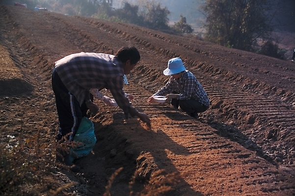 포토 JPG 주간 직업 부부 커플 산업 밭 농업 논 사람 풍경 성인 야외 두명 농사 시골 농부 땅 씨뿌리기 성인만 국내포토 자연요소 관계 모션 파일형식