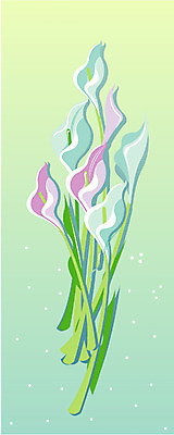 EPS 클립아트 식물 사계절 계절 꽃 일러스트 자연 컬러풀 봄 카라 국내일러스트 컬러 생태계 파일형식 벡터