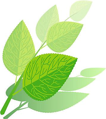 EPS 클립아트 식물 사계절 계절 잎 일러스트 자연 나뭇잎 봄 국내일러스트 생태계 파일형식 벡터