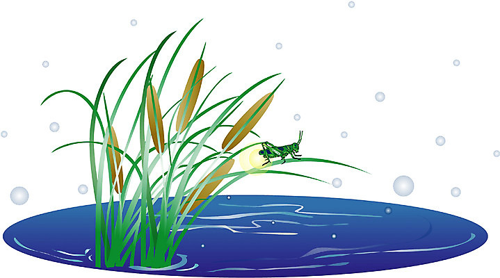 EPS 클립아트 식물 백그라운드 일러스트 자연 풍경 사람없음 연못 풀 풀잎 귀뚜라미 국내일러스트 곤충 잎 풀_식물 생태계 파일형식 벡터