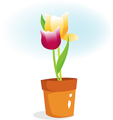 EPS 식물 계절 꽃 화분 일러스트 사람없음 꽃병 봄 꽃꽂이 국내일러스트 원예 파일형식 벡터