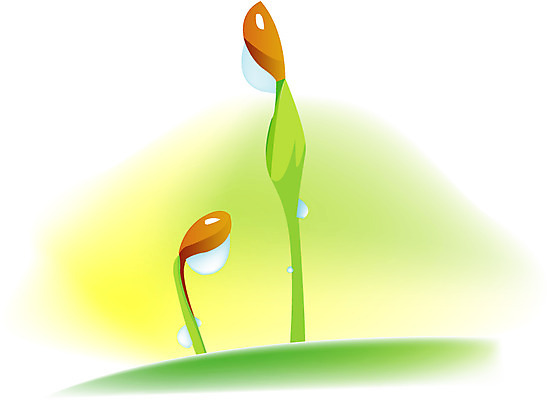 EPS 식물 사계절 계절 일러스트 사람없음 새싹 봄 국내일러스트 파일형식 벡터