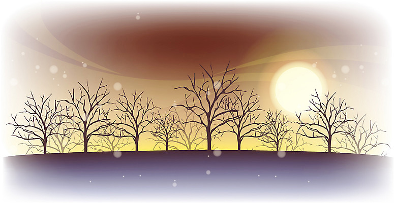 EPS 나무 식물 사계절 계절 백그라운드 겨울 일러스트 자연 여러그루 풍경 사람없음 야외 달 눈 겨울배경 국내일러스트 자연요소 다수 날씨 생태계 파일형식 벡터