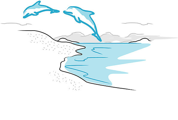 EPS 클립아트 동물 척추동물 야생동물 바다 두마리 일러스트 포유류 자연 사람없음 야외 점프 바다동물 고래 돌고래 국내일러스트 2 모션 수중동물 생태계 파일형식 벡터