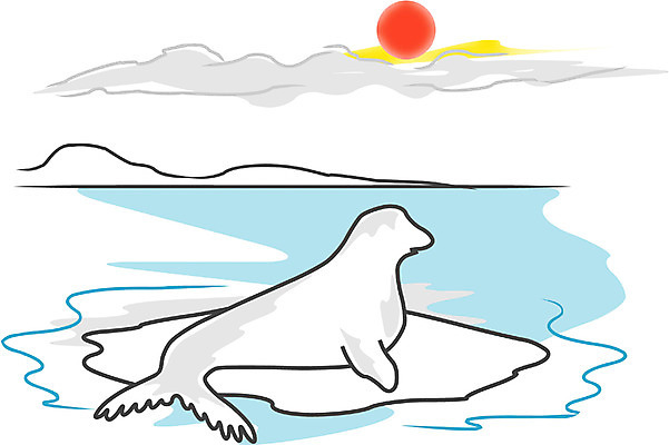 EPS 주간 클립아트 동물 구름 척추동물 한마리 야생동물 바다 일러스트 포유류 자연 사람없음 야외 태양 노을 바다동물 일몰 바다표범 물개 국내일러스트 자연요소 1 수중동물 생태계 파일형식 벡터
