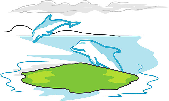 EPS 클립아트 동물 구름 척추동물 야생동물 바다 두마리 일러스트 포유류 자연 사람없음 야외 점프 바다동물 고래 돌고래 국내일러스트 자연요소 2 모션 수중동물 생태계 파일형식 벡터