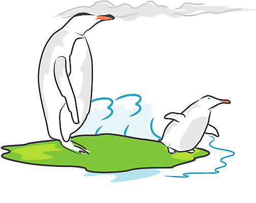 EPS 클립아트 동물 척추동물 야생동물 새끼 바다 외국문화 두마리 일러스트 자연 조류 사람없음 야외 추위 어미 남극 극지방 펭귄 황제펭귄 국내일러스트 문화 2 생태계 지역 파일형식 벡터