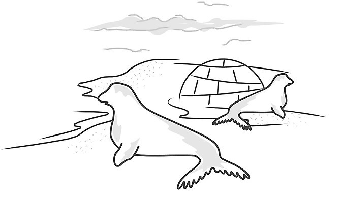 EPS 클립아트 동물 척추동물 야생동물 바다 외국문화 두마리 일러스트 포유류 자연 사람없음 야외 바다동물 추위 바다표범 물개 남극 극지방 이글루 국내일러스트 문화 2 수중동물 생태계 지역 파일형식 벡터